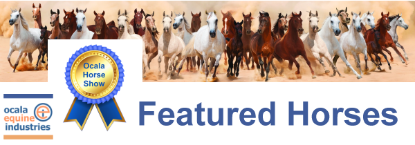 Featured Horses